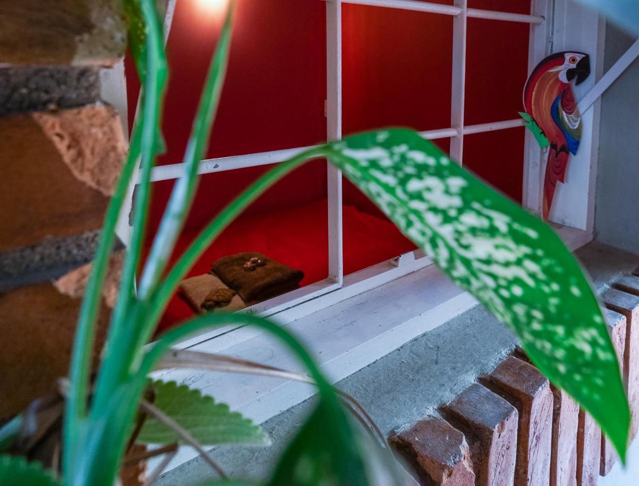 Hostel Tropico De Capricornio - Itagua ウバトゥバ エクステリア 写真