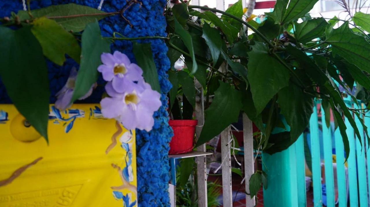 Hostel Tropico De Capricornio - Itagua ウバトゥバ エクステリア 写真